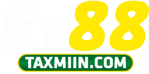 taxmiin.com
